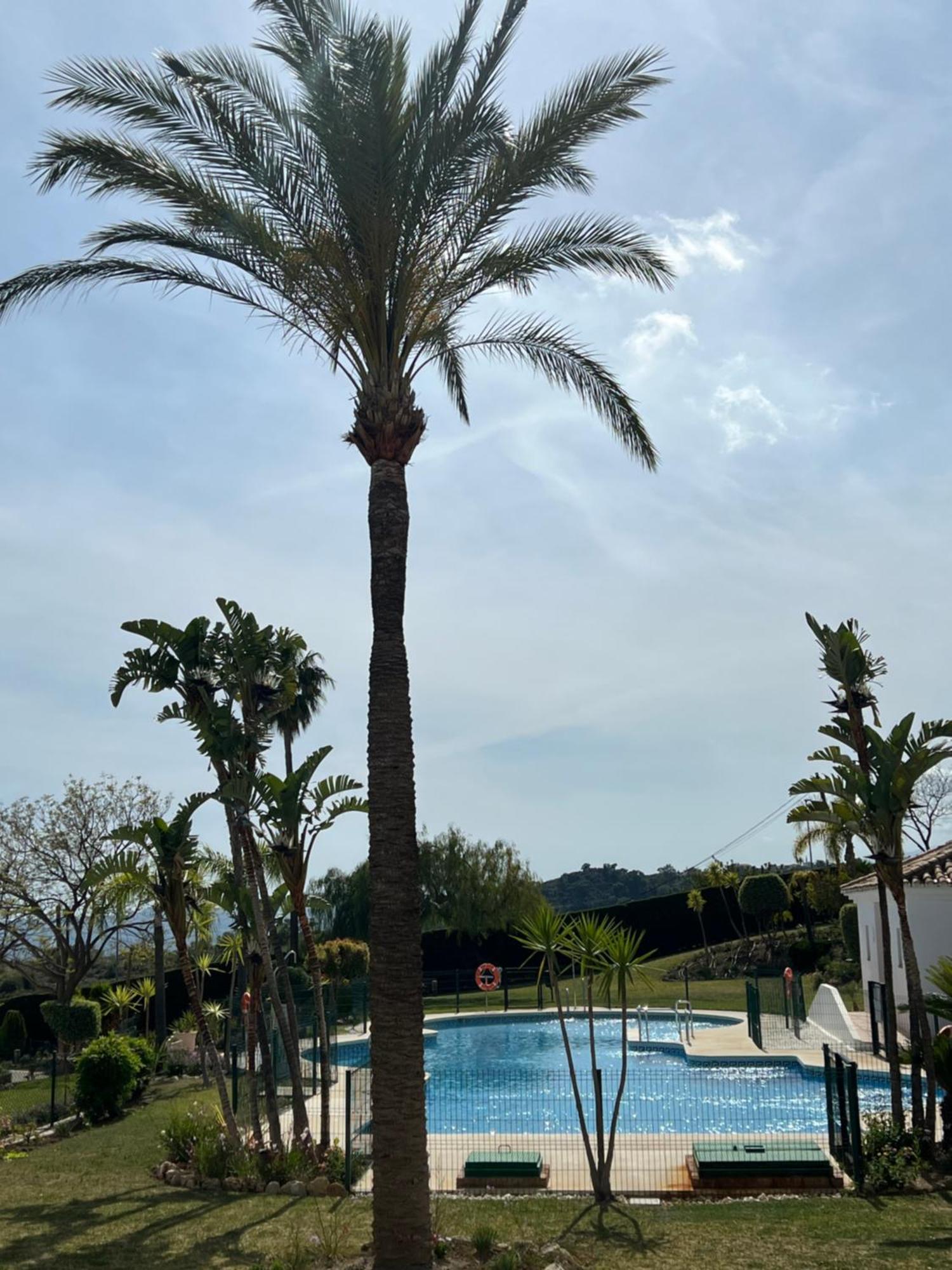 Finca San Antonio Two Bedroom Apartment With Swimming Pool Mijas Exterior photo